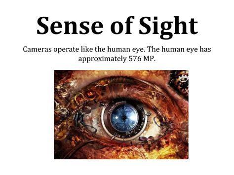 PPT - Sense of Sight PowerPoint Presentation, free download - ID:1927359