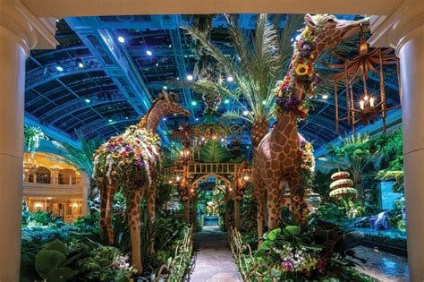 Celebrate summer in Las Vegas at Bellagio's Conservatory - Las Vegas ...