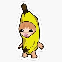 BananaCat（BCT）価格・チャート・時価総額 | CoinMarketCap