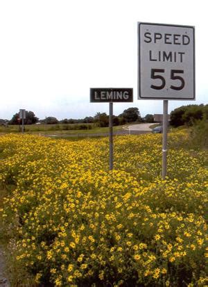 Leming, Texas, Atascosa County.