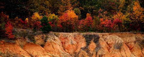 Inside Crowley's Ridge State Park | Arkansas State Parks