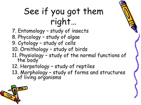 Branches Of Biology