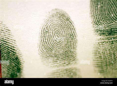 Whorl fingerprint hi-res stock photography and images - Alamy