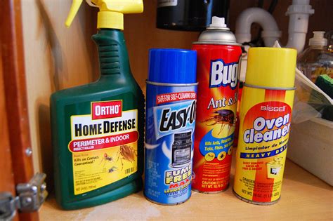 Relationship of Prenatal exposure to household chemicals with child IQ - Doctor Tipster