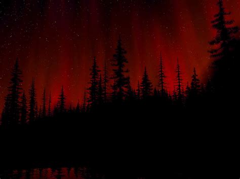 Enigmatic Red Light: HD Wallpaper of a Dark Forest