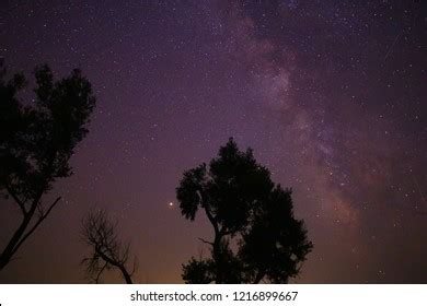 Milky Way Stargazing Stock Photo 1216899667 | Shutterstock