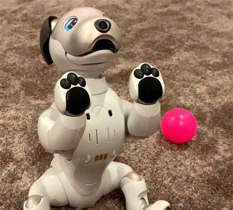 Sony Aibo Robot Dog Review: K-9 Eat Your Heart Out | Robot, Eat your ...