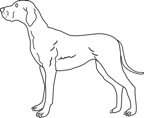 Free Dog Line Art, Download Free Dog Line Art png images, Free ClipArts on Clipart Library