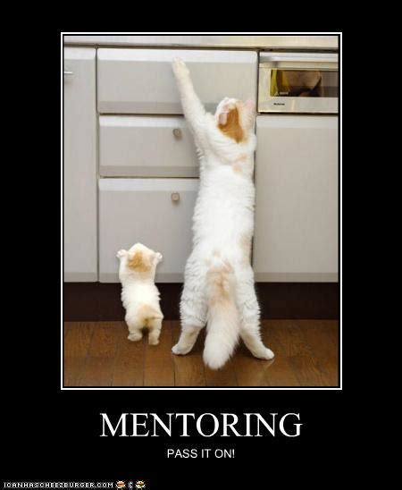 Funny Quotes About Mentoring. QuotesGram