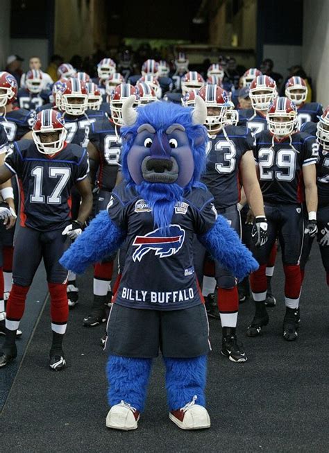 The Bills Introduce Their New Mascot - The Draw Play