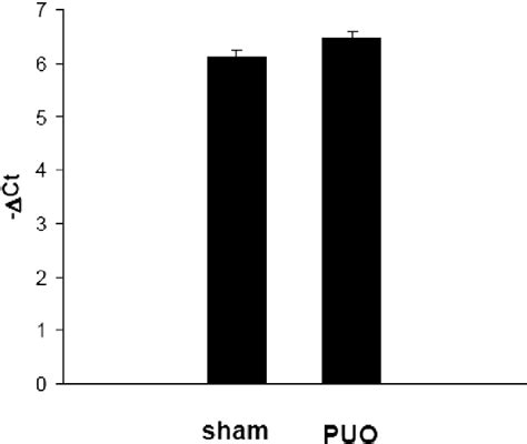 Figure 1 from Presence of phosphodiesterase type 5 in the spinal cord ...