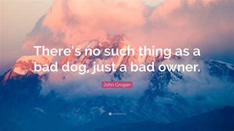 John Grogan Quote: “There’s no such thing as a bad dog, just a bad owner.”