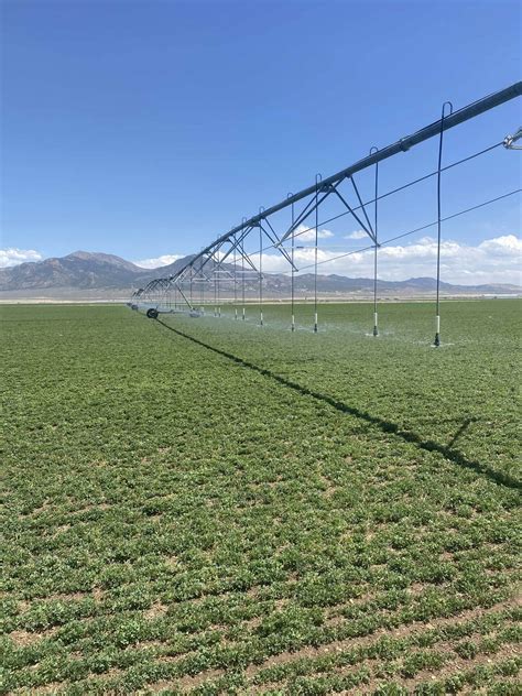 Alfalfa Farm - Case Study Reduce Water - Bactelife