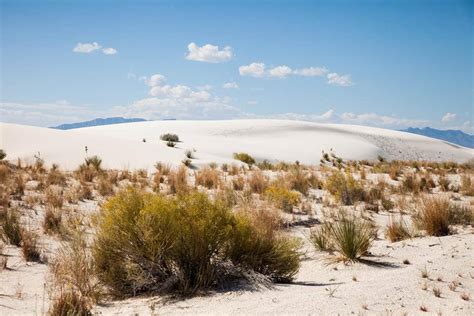 Southern New Mexico | Sierra Club Angeles Chapter