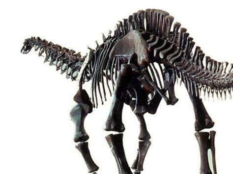 Hall of Saurischian Dinosaurs | Wall Street International Magazine