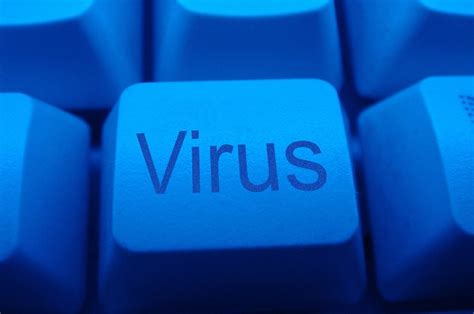 The story behind the first computer viruses ever