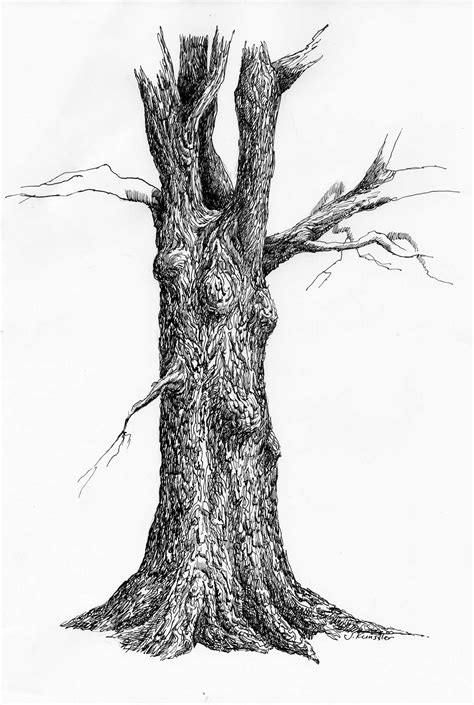 Tree. Pen and ink drawing steps. Tree Pencil Sketch, Tree Drawings Pencil, Landscape Pencil ...