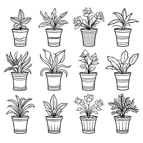 Desenho De Plantas Em Vasos Para Colorir PNG , Desenho De Planta, Desenho De Asa, Desenho De ...