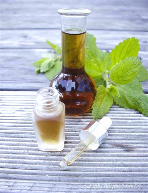 How to make Lemon balm tincture - SimplyBeyondHerbs