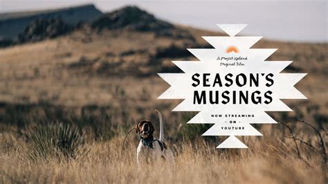 Scaled Quail Hunting with Pointing Dogs - New Mexico Bird Hunting - Season's Musings - YouTube