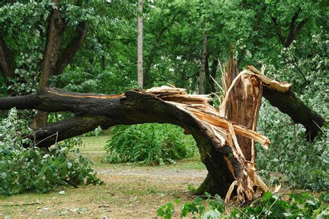 Here’s How To Protect Your Home Against Gale-Force Winds