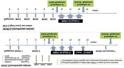 Schema of DeVIC and HD-MTX chemotherapy protocol. The timing of the ...