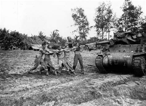 M10 Wolverine 32nd Infantry Division 632nd Tank Destroyer Battalion At Aitape | World War Photos