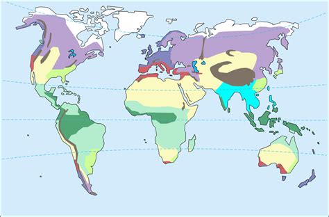 Climat équatorial — Wikipédia