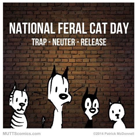 October 16th. Trap, Neuter, Return for #feralcat day | Feral cats, Cat day, Mutts comics