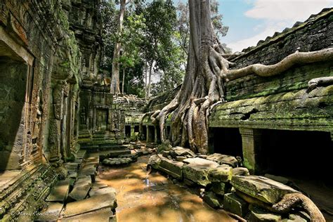 Ta Prohm Temple - Walkway - modlar.com