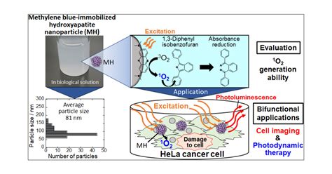 Investigation into the Photochemical Properties of Methylene Blue-Immobilized Hydroxyapatite ...