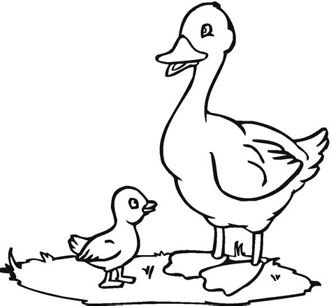 Duck Duck Goose Coloring Pages - Free Coloring Pages Printables