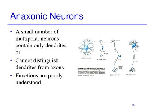 PPT - Lab Exercise 13 PowerPoint Presentation, free download - ID:5435866