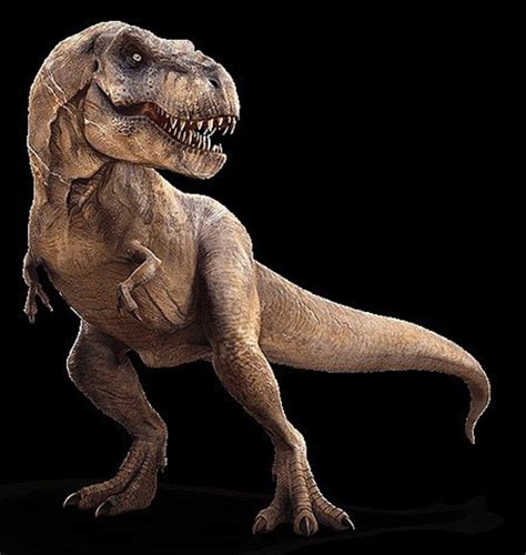 Tyrannosaurus Rex: Quick Facts - Owlcation