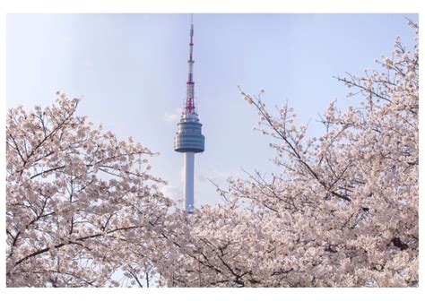 My Top 10 Things to Do in Daegu - South Korea - The Backpacking Housewife