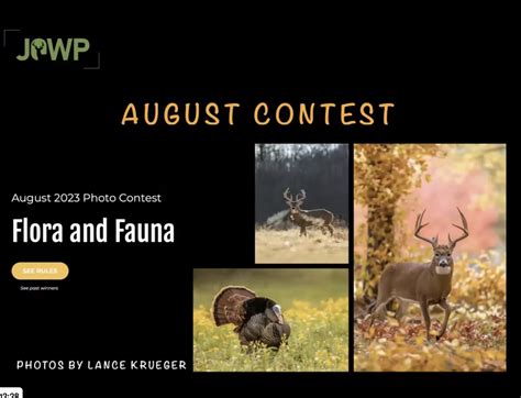 August 2023 Photo Contest Q&A - Journal of Wildlife Photography