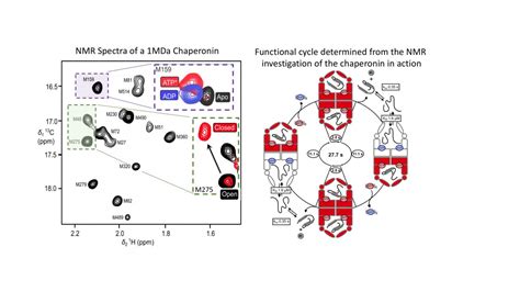 In the Heat of Action: A "Rege [IMAGE] | EurekAlert! Science News Releases