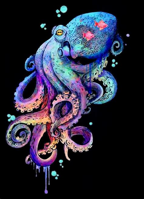 Octopus Drawing