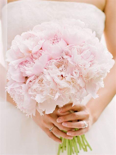 15 Beautiful Peony Wedding Bouquets | The Knot