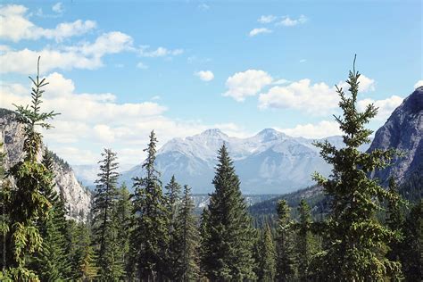 "Mountain, Trees And Sky In The Rockies" by Stocksy Contributor "Sandra ...