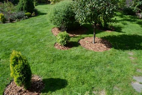 The Ultimate Guide to Mulching: Types, Techniques and How to Make It