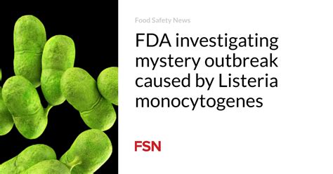 FDA investigating mystery outbreak caused by Listeria monocytogenes ...