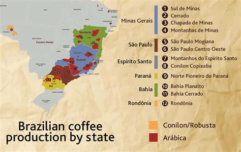 Guide to Brazilian Coffee Regions - Tukan Coffee