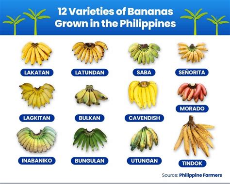 Did you know that there are... - Negros Oriental Philippines