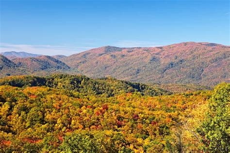 Top 4 Ways to Experience the Smoky Mountains Fall Colors