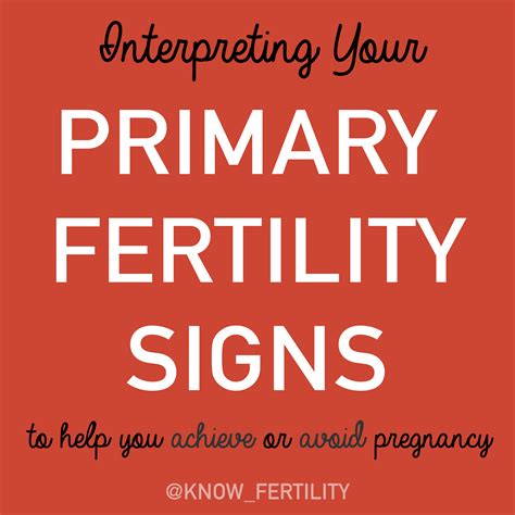 BIG HUG LITTLE KISS: Interpreting Your Fertility Signs