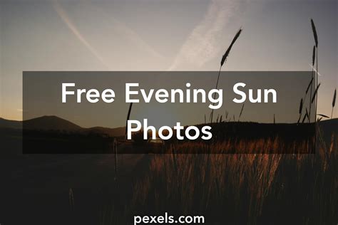 Free stock photos of evening sun · Pexels