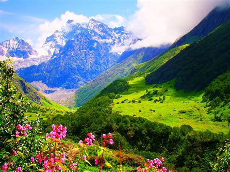 The Valley Of Flowers, Uttarakhand, India, snowy peaks, beautiful ...