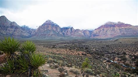 Spring Mountain National Recreation Area - Nevada Trail Finder