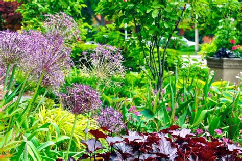 15 Flowering Shade Perennials for Fall